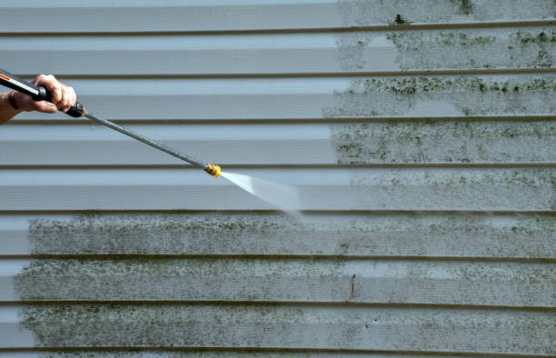 Trusted Crewe, VA Pressure Washing Services Experts